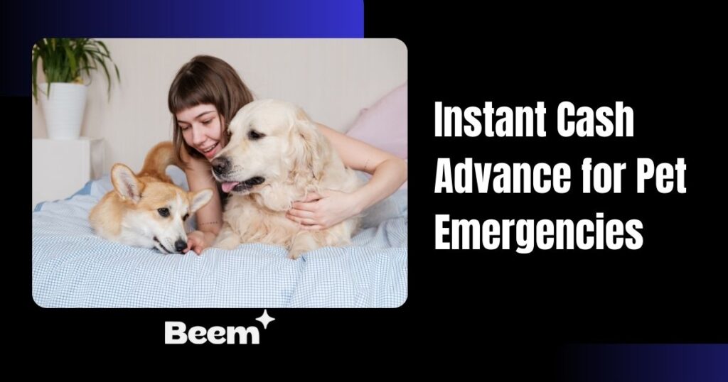 Instant Cash Advance for Pet Emergencies