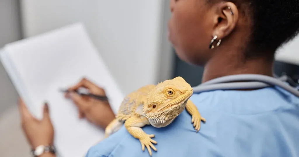 emergency cash for pet emergencies