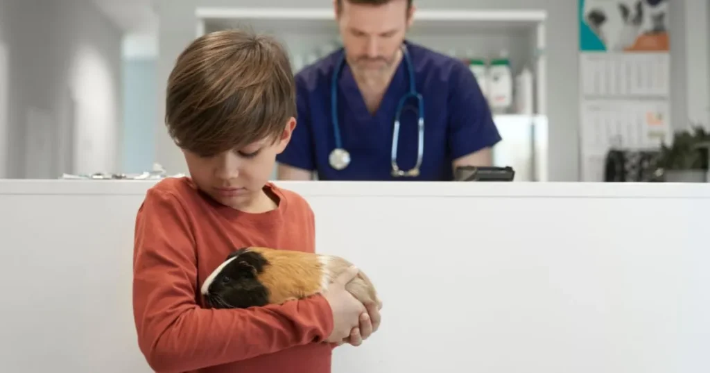 emergency cash for pet emergencies