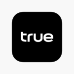 true finance logo
