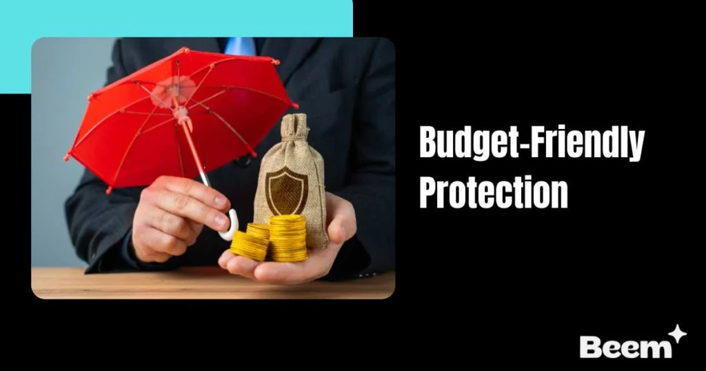 Budget-Friendly Protection